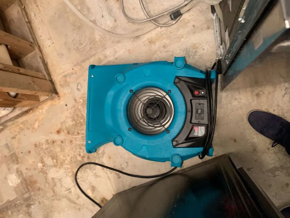 Air mover drying equipment for Mold Remediation & Removal in Rehoboth